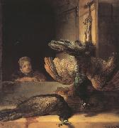 Rembrandt, Still life with two dead Peacocks and a Girl (mk33)